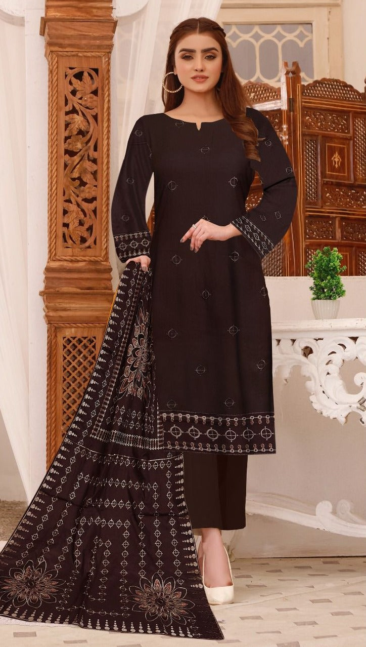 3 Pc - Airjet Dhanak Embroidered Suit with Full Applique Shawl