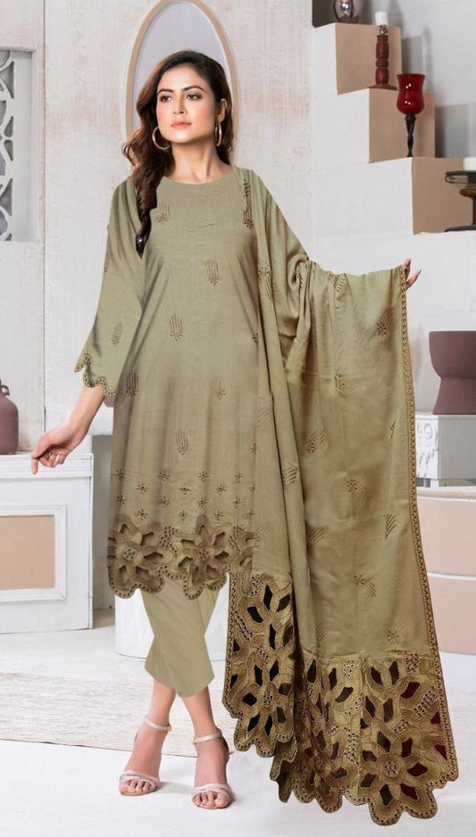 3 Pc - Airjet Karandi Embroidered Suit